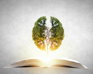 怎么炒瘦肉好吃又嫩